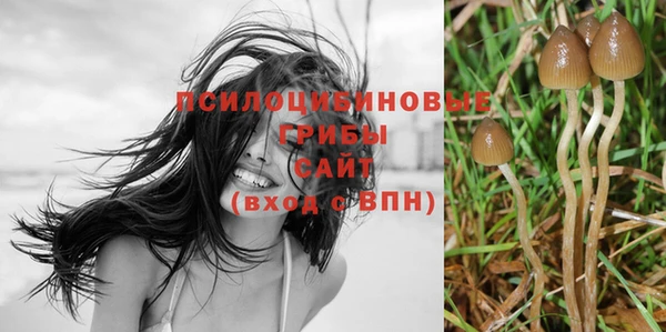герыч Кукмор