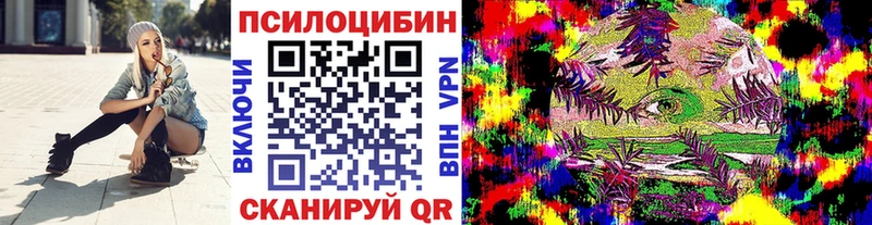 Купить  Россошь  Псилоцибиновые грибы Psilocybine cubensis 